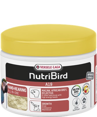 Nutribird A19 - Alimento para criação à mão para aves - Versele-laga - Image 2