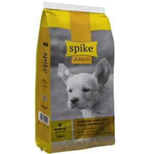 Spike Dog Junior